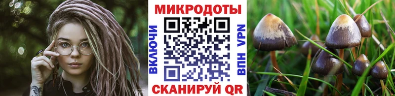 Галлюциногенные грибы мухоморы  где продают   Кириллов 