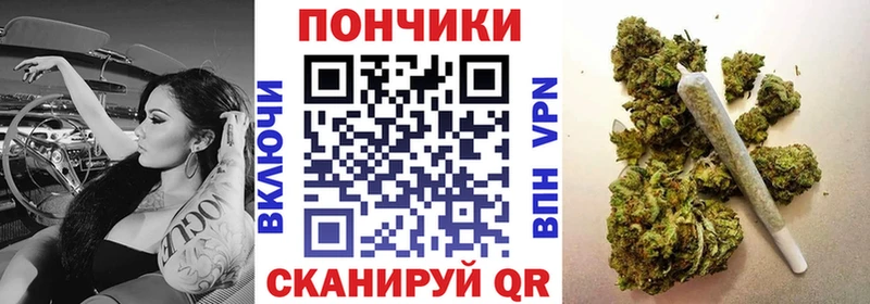Бошки Шишки план  Кириллов 